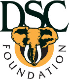 DSC Foundation Header Logo