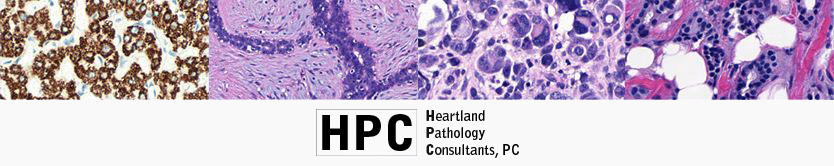Heartland Pathology Consultants PC Header Logo