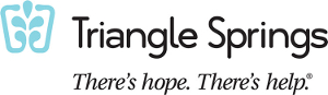 Triangle Springs Header Logo